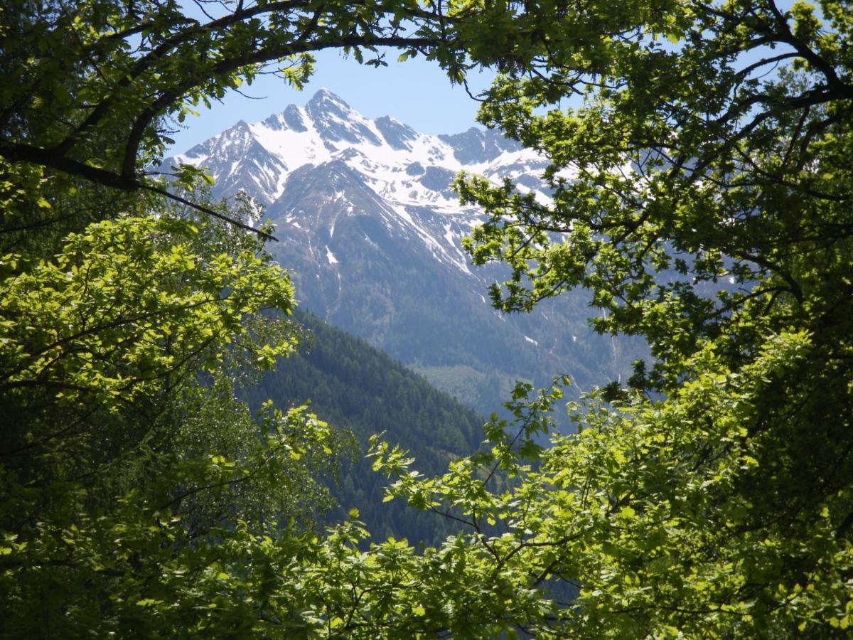Appart Burgwies Ink Nationalpark Sommercard Stuhlfelden Luaran gambar